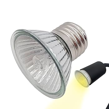 Amazon | 爬虫類ライト亀 ライト UVAUVB 爬虫類用ライト ライト