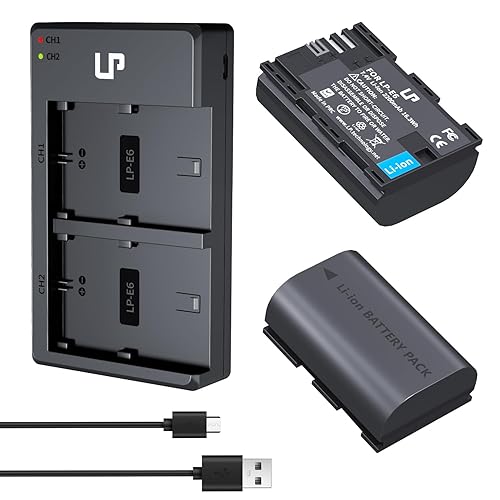 LP LP-E6 E6N Battery Charger Pack, 2-Pack 2600mAh Battery & Dual Charger Compatible with Canon EOS R, R5, R6, 90D, 80D, 70D, 60D, 60DA, 5D Mark II, 6D, 6D Mark II, 7D, 7D Mark II, XC15, XC10 Cameras - 2*Battery & 2 Slot Charger