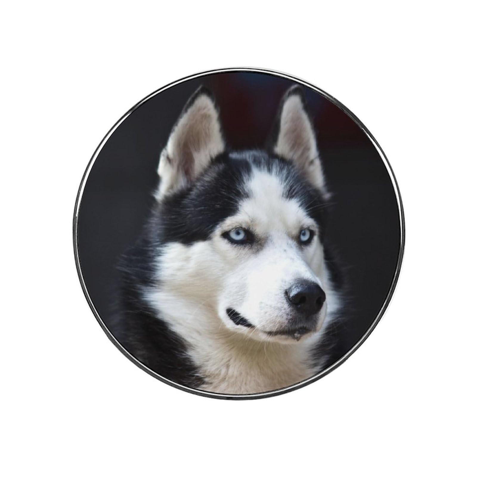 Husky Alloy Fridge Magnet For Office Cabinet Refrigerator Whiteboard Photo