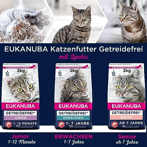 Eukanuba Katzenfutter trocken getreidefrei - Premium Trockenfutter mit viel Lachs für ausgewachsene Katzen, 2kg