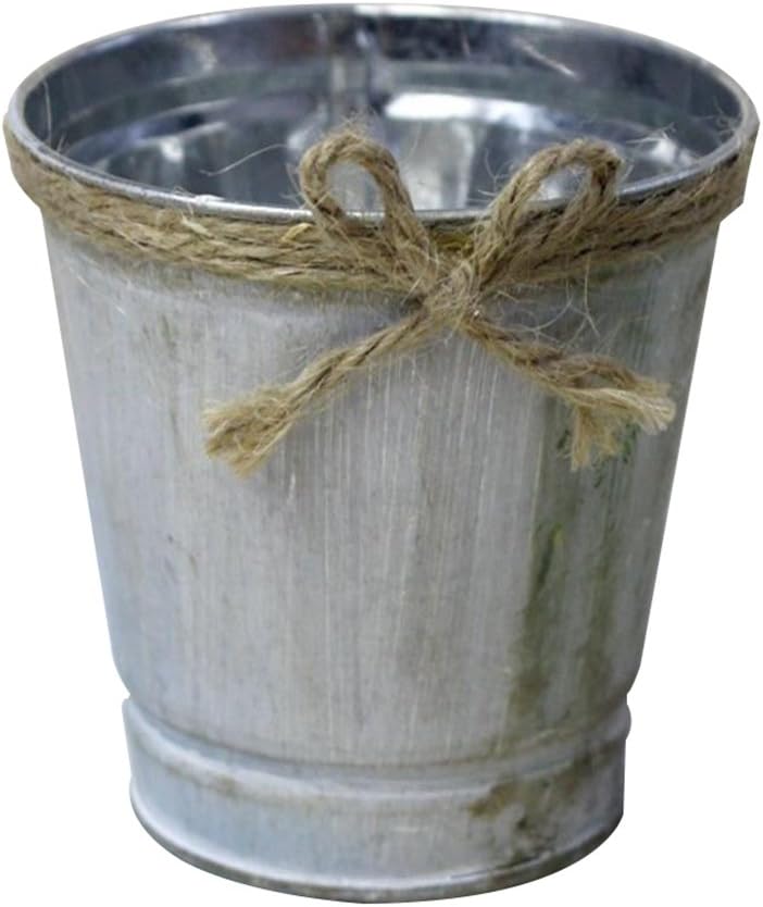 Mackur Retro Metal Flower Bucket Small Plant Pots Flower Pot for Office or Home Decoration