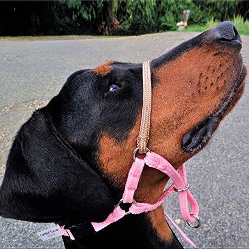 Miniatura 6 de Trainer - Cabestro de cabeza de perro, talla 3, color negro