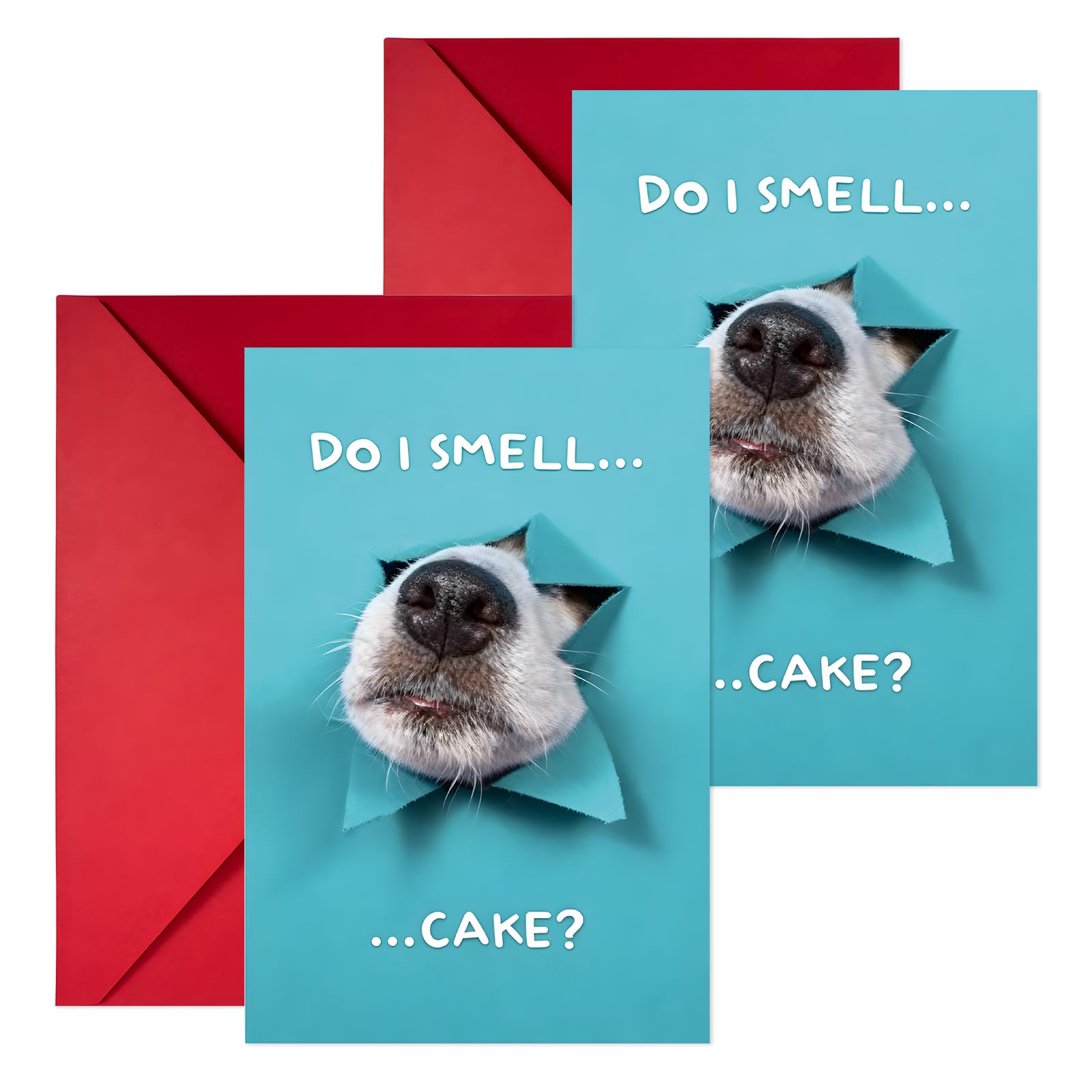 Dog Birthday Card with Envelope 2 PCS Funny Birthday Card from The Dog, Humorous Themed B/irthday C/ard for D/og Lovers