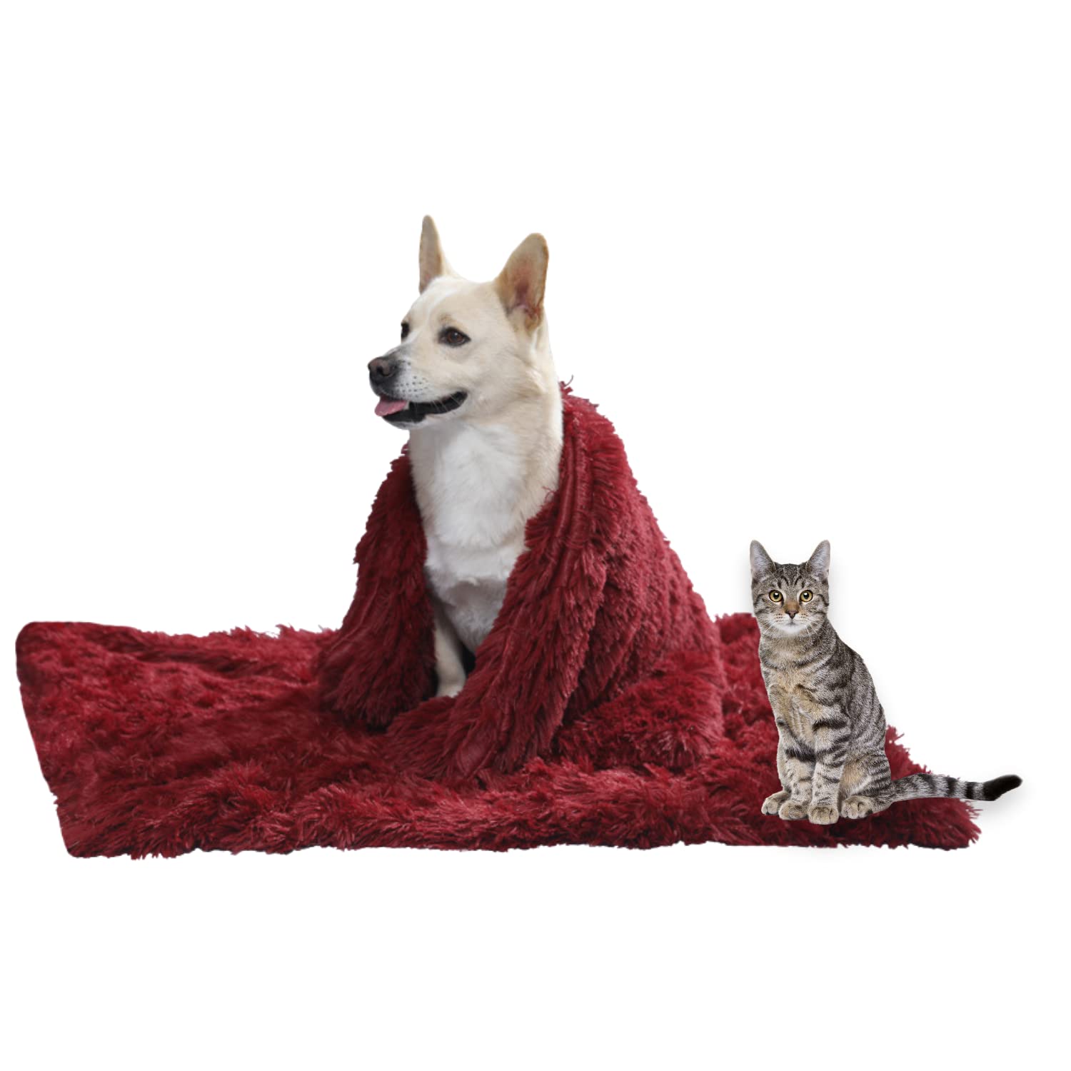 crazy bean Manta para Perros Gatos de Esponjosas Felpa Mantas Termica para Mascotas Suave Manta Cama Lavable Colcha Sofa Colchoneta Grand Medianos Pequeños, Rojo Intenso, L (100X80cm)