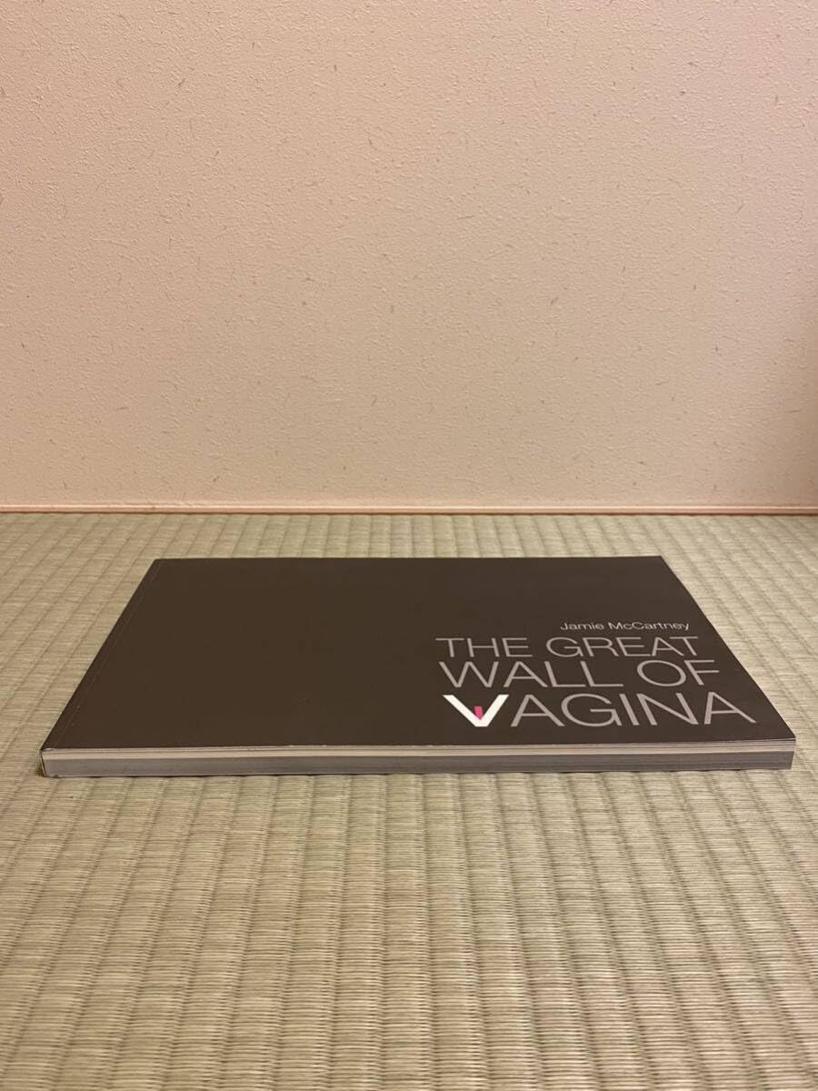 Amazon.co.jp: THE GREAT WALL OF VAGINA : おもちゃ