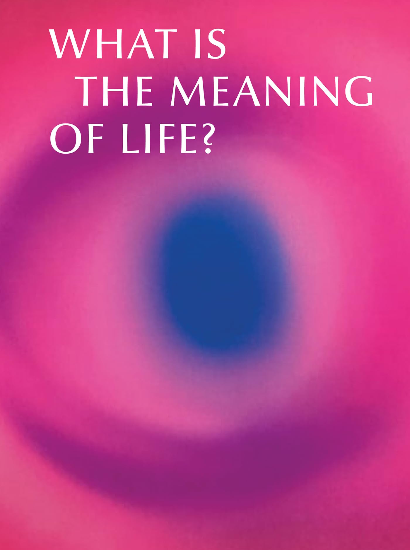 What is the Meaning of Life?: Making and Breaking the Rules We Live By (Sainsbury Centre Exhibitions)