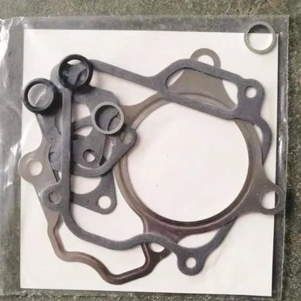 Set guarnizioni di Ricambio per carburatore Coperchio Testata Pompa Acqua Compatibile con Parti Motore Motore EX17 EX21