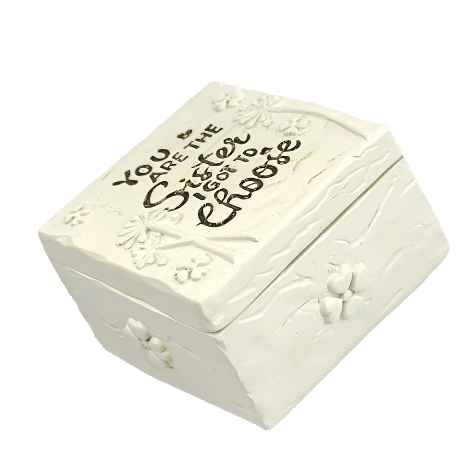 Msioytog Stylish Resin Jewelry Box Permanent Protective Storage Compact Present for Sisters Elegant Desktop Jewelry Case