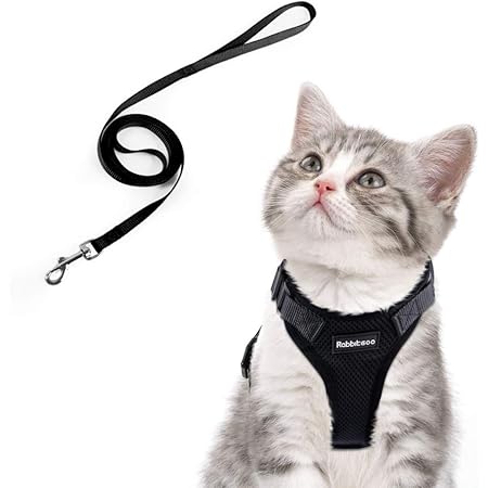 Bingpet Katzengeschirr Mit Leine Und Halsband Zum Spazierengehen Ausbruchsicher Mit 150 Cm Leine Verstellbare Weiche Weste Geschirre Fur Mittelgrosse Und Grosse Katzen Amazon De Kuche Haushalt