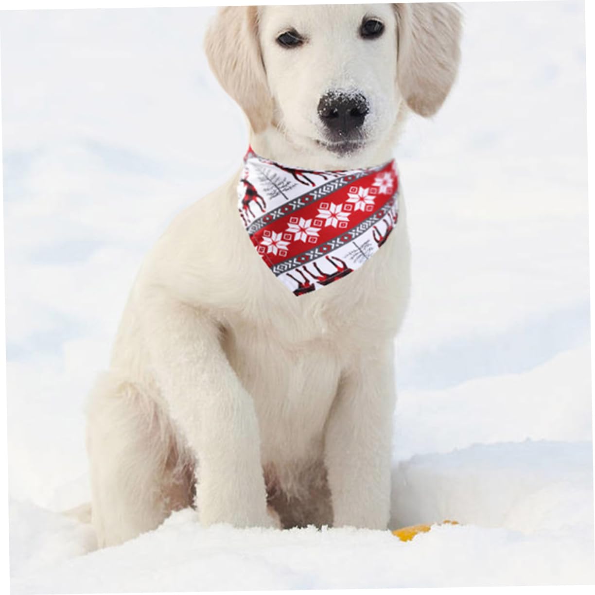 POPETPOP 10pezzi Bandana Triangolare Natalizia per Domestici Scarf per Design Festivi Accessorio per e Celebrazioni Natalizie
