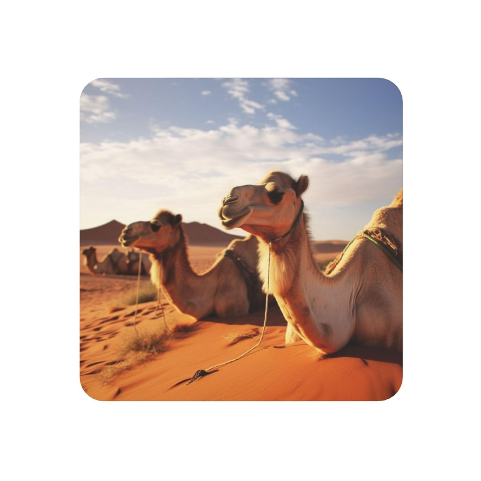 Fodpand Square Camels Rest Desert Fridge Magnets, Strong Small Refrigerator Magnets Decorative Magnets For Kitchen Fridge Office Locker - Funny Magnetic Stickers Birthday Gifts