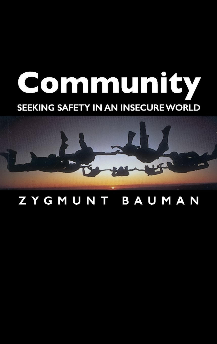 Community: Seeking Safety in an Insecure World: 3 (Themes for the 21st Century)