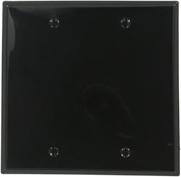 Leviton 2-Gang Blank Plate Nylon Standard Wall Plate (1-Pack), 80725-E, Black