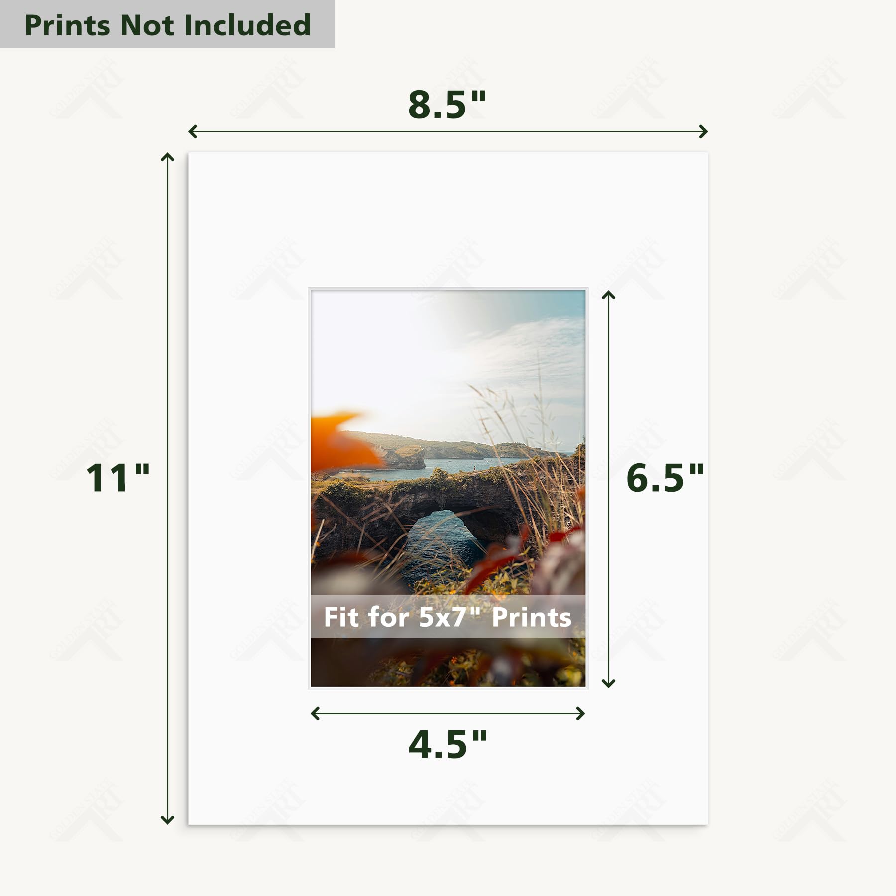 Golden State Art, Lot de 10 passe-partout prédécoupés de 21,6 x 27,9 cm, découpe biseautée 11,4 x 16,5 cm, ouverture pour photos de 12,7 x 17,8 cm, blanc