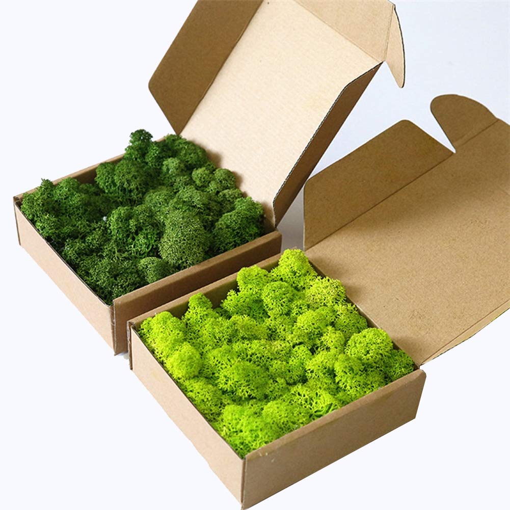 MOSS concepts Rendiermos mosgroen 500 gram MOSS concepts Rendiermos mosgroen 500 gram