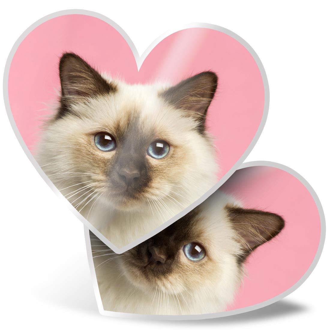 2 x Heart Stickers 7.5 cm - Birman Kitten Cat Ragdoll Fun Decals for Laptops,Tablets,Luggage,Scrap Booking,Fridges, #2825