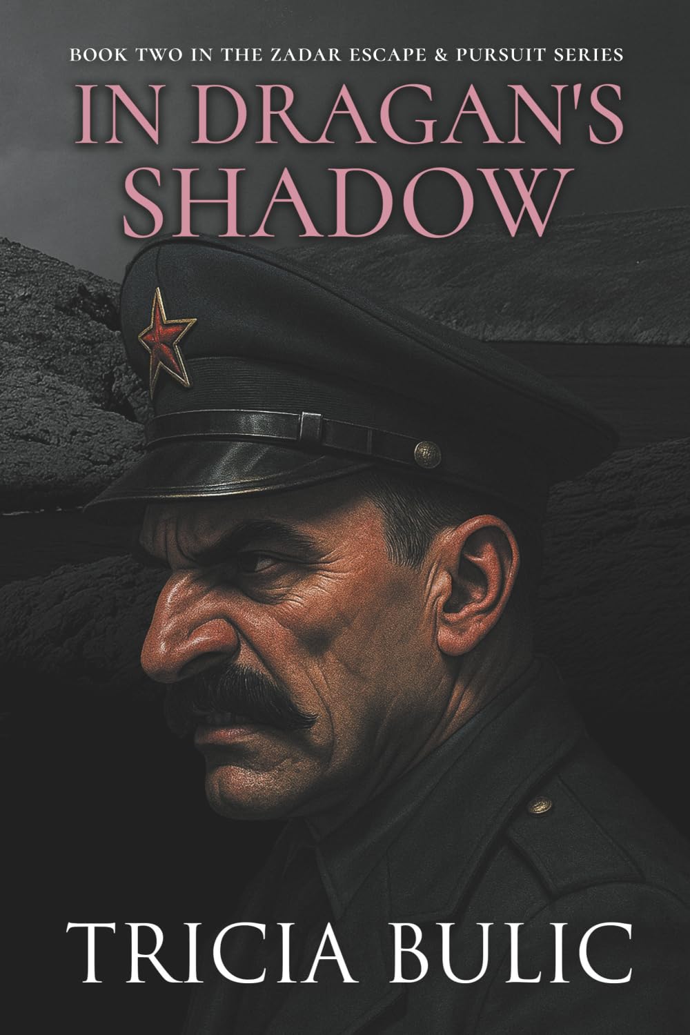 In Dragan’s Shadow: 2 (The Zadar Escape and Pursuit Series)