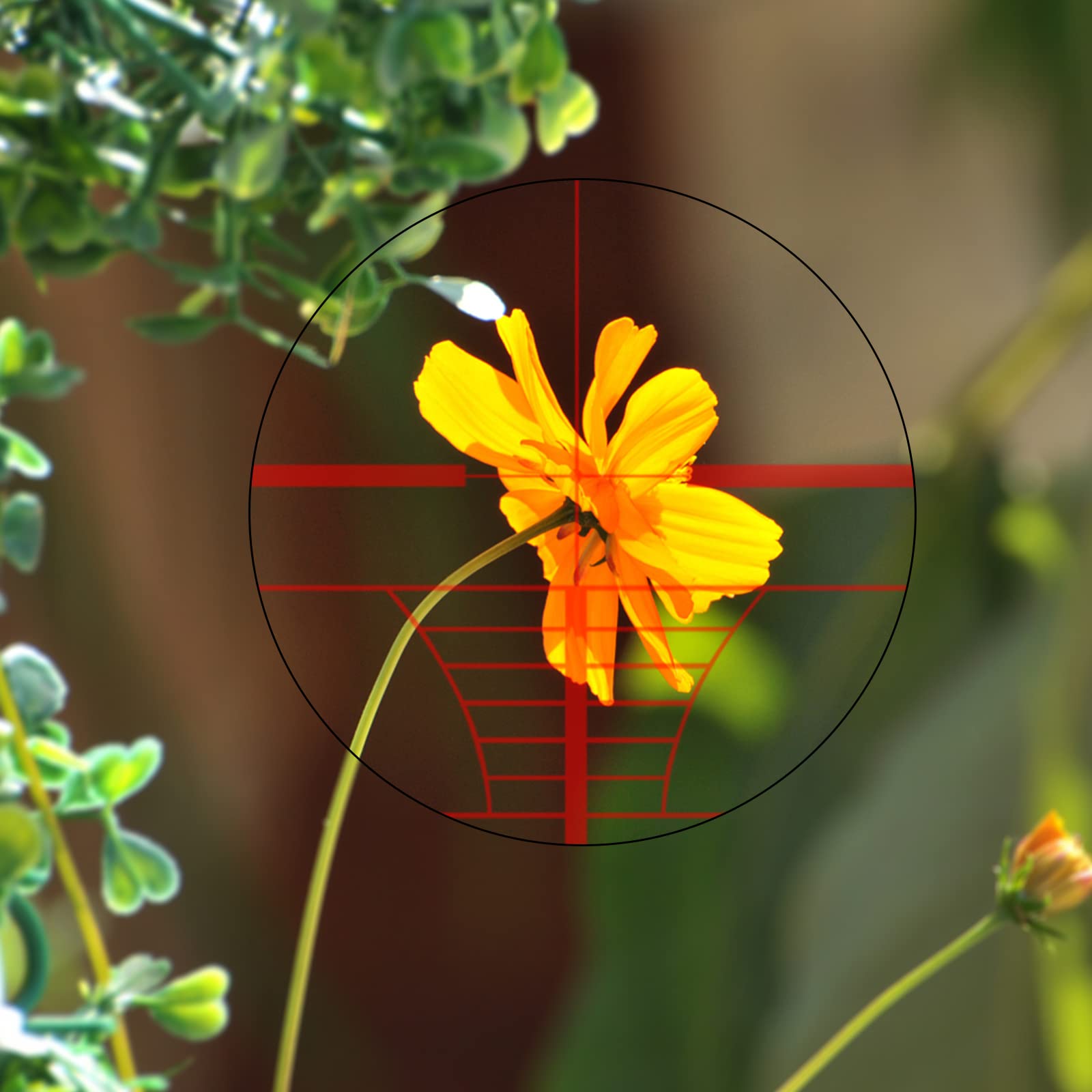 NAIZY Lunette De Visée 3-9x40EG pour Fusil À Air Comprimé avec Point De Mire Rouge Et Verte Montages 11 mm Chasse Sport