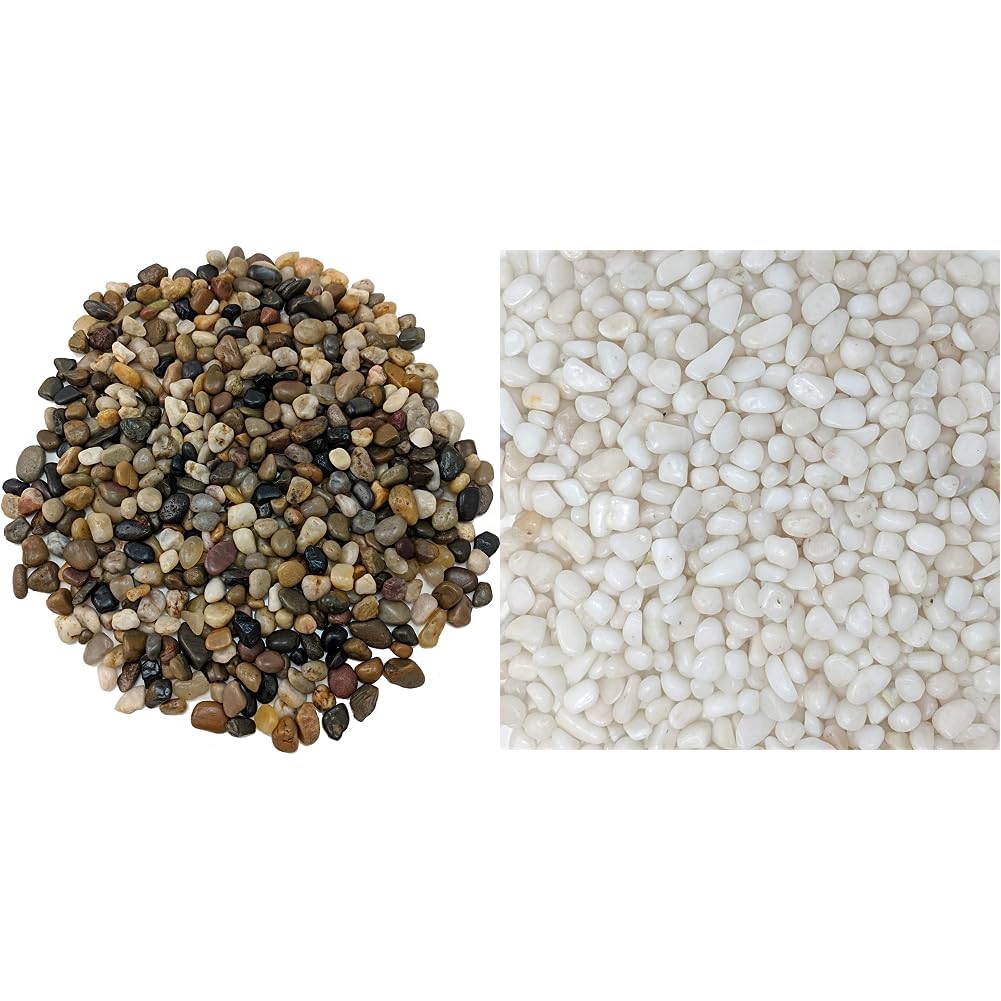 Foodie Puppies Natural Polished Gravel Stone (3Kg) (1.5cm - 3.5cm) - Multipurpose Uses Stones & White Small Glossy Stones (Polished 900g) (B0CDD8KB5N) Amazon Price History, Amazon Price Tracker