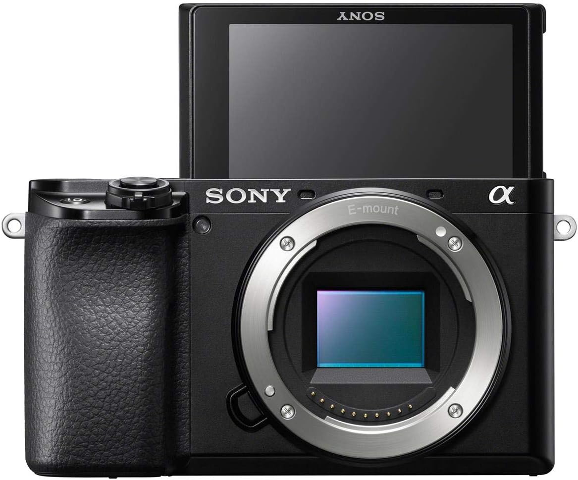 sony a6100 memory card