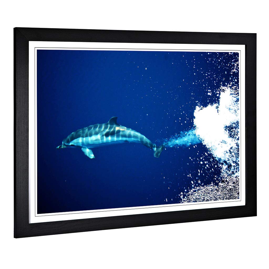 Big Box Art Framed Print of Dolphin 2 Design | Wall Art Picture | Home Decor for Kitchen, Living, Dining Room, Lounge, Bedroom, Hallway, Office, Black, A2 / 24.5x18 Inch / 62x45cm