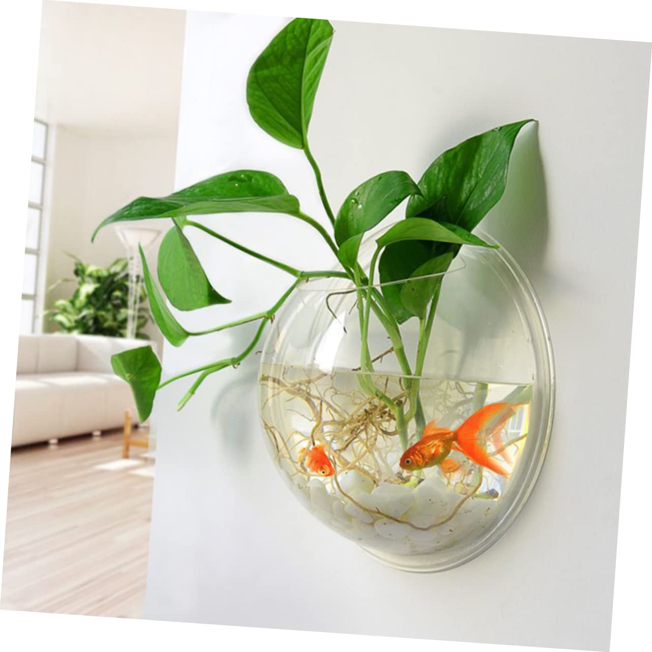 Toddmomy 3 Pièces Aquarium De Poissons Bols À Poissons pour Betta Cylindre De Poisson Aquarium Réservoirs D'Aquarium Suspendus en Acrylique Transparent Bol À Poisson Mural Bol D'Aquarium