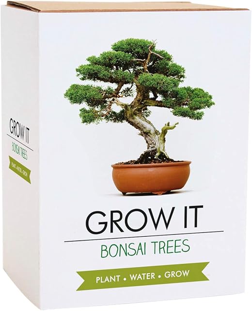 Gift Republic GR200006: Uprawiaj ją. Uprawiaj własne drzewka bonsai, 12 x 12 x 12 cm
