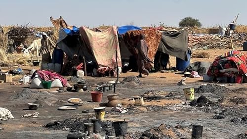 'Hallmarks of genocide' evident in Darfur, Sudan
