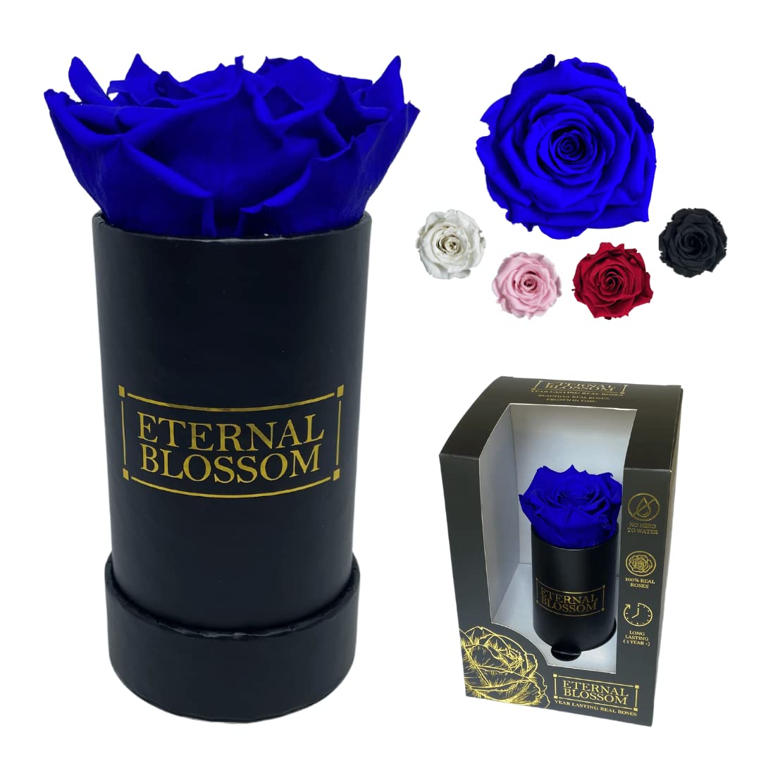 Eternal Blossom Preserved Real Infinity Rose | Eternal Rose That Lasts Over A Year | Black Box | With Gift Box (Royal Blue)