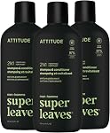 ATTITUDE Men's Shampoo and Conditioner 2-in-1, Made in Canada, Nourishing For Dry Hair and Scalp, With Panthenol and Ginseng, 97% Natural Origin Ingredients, EWG Verified, Patchouli and Bourbon, 415 mL