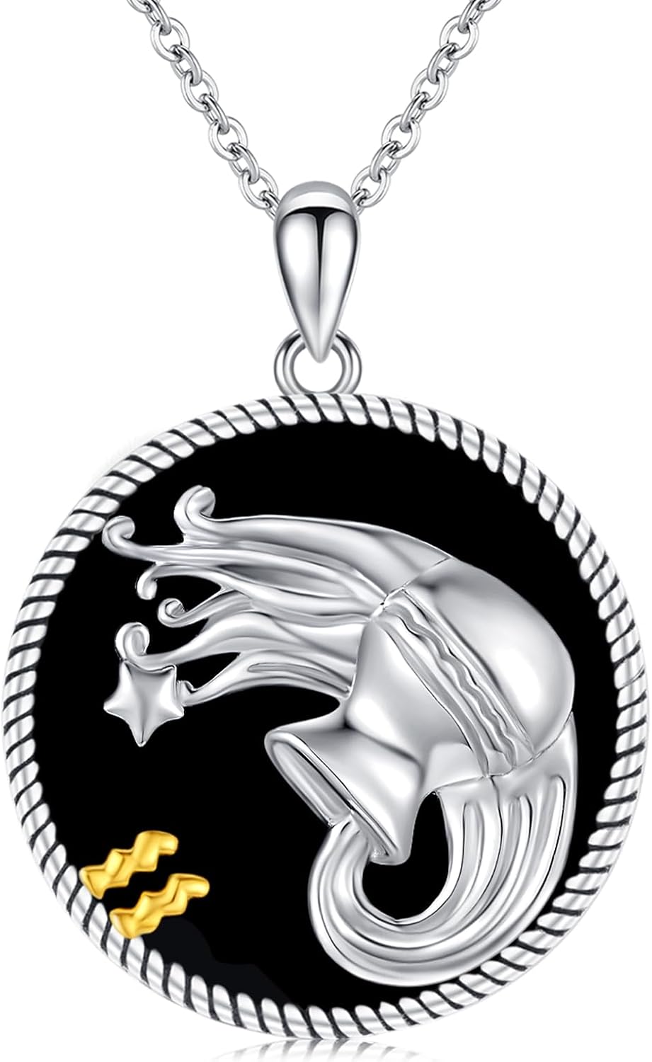 12 Constellation Necklace 925 Sterling Silver Zodiac Sign Coin Pendant Necklaces Black Onyx Astrology Horoscope Jewelry Birthday Gifts for Women Men