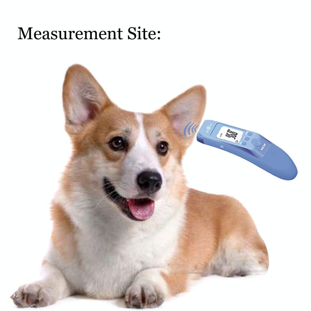 Termometro per animali domestici senza contatto per cani, classico clinico veloce, 3 modalità (corpo, superficie dell'oggetto, stanza), modalità corporea per misurare accuratamente la