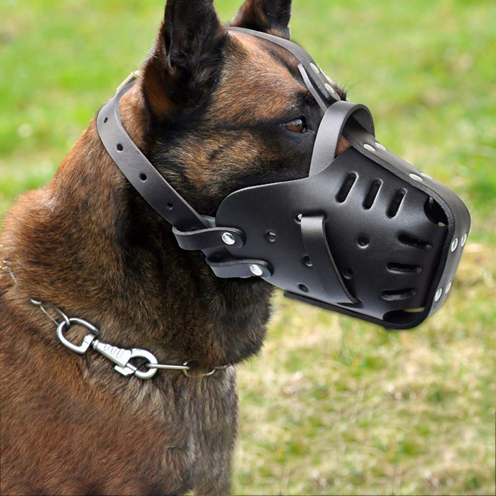 Control de mordida y masticación: Ajustable for Perros pequeños, medianos Grandes