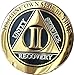 RecoveryChip 2 Year AA Medallion Elegant Black Gold Silver Bi-Plated Alcoholics Anonymous Chip