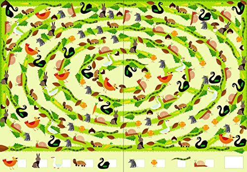 Labirinti giganti. Ediz. a colori