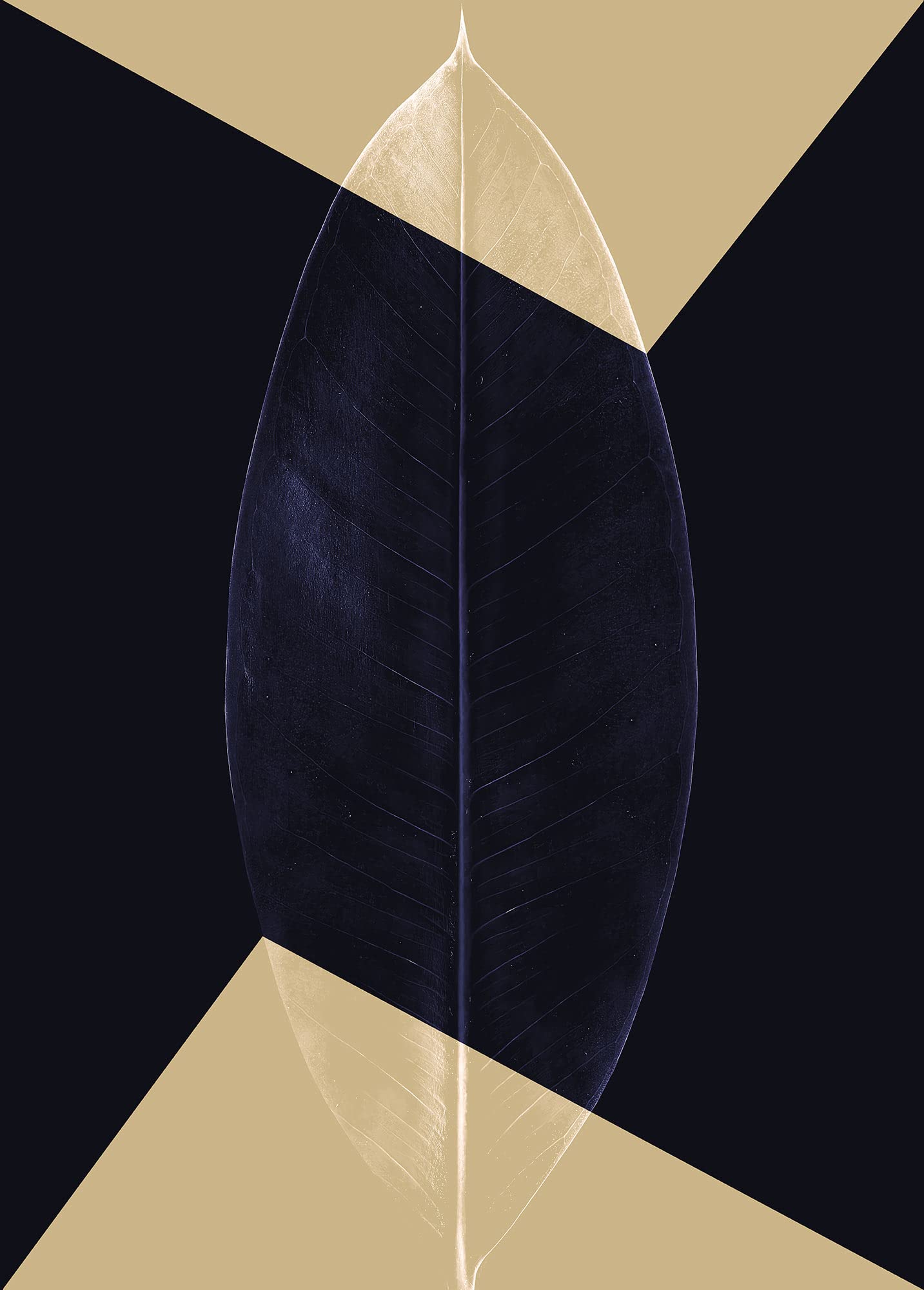 Komar Wandbild - Lotus Theatre, 50 x 70 cm