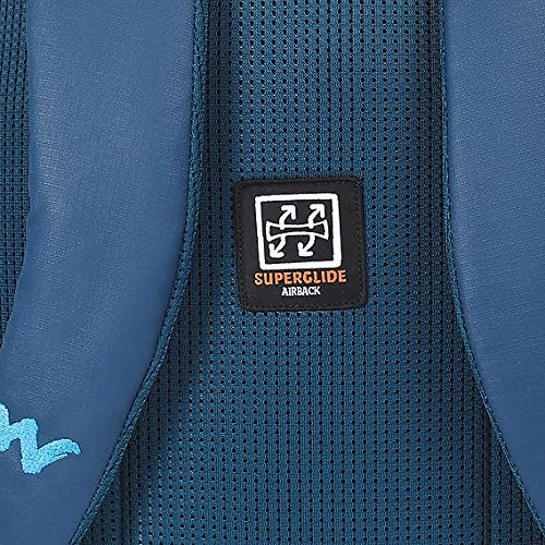 Wildcraft Streak 2.0 Plus Laptop 