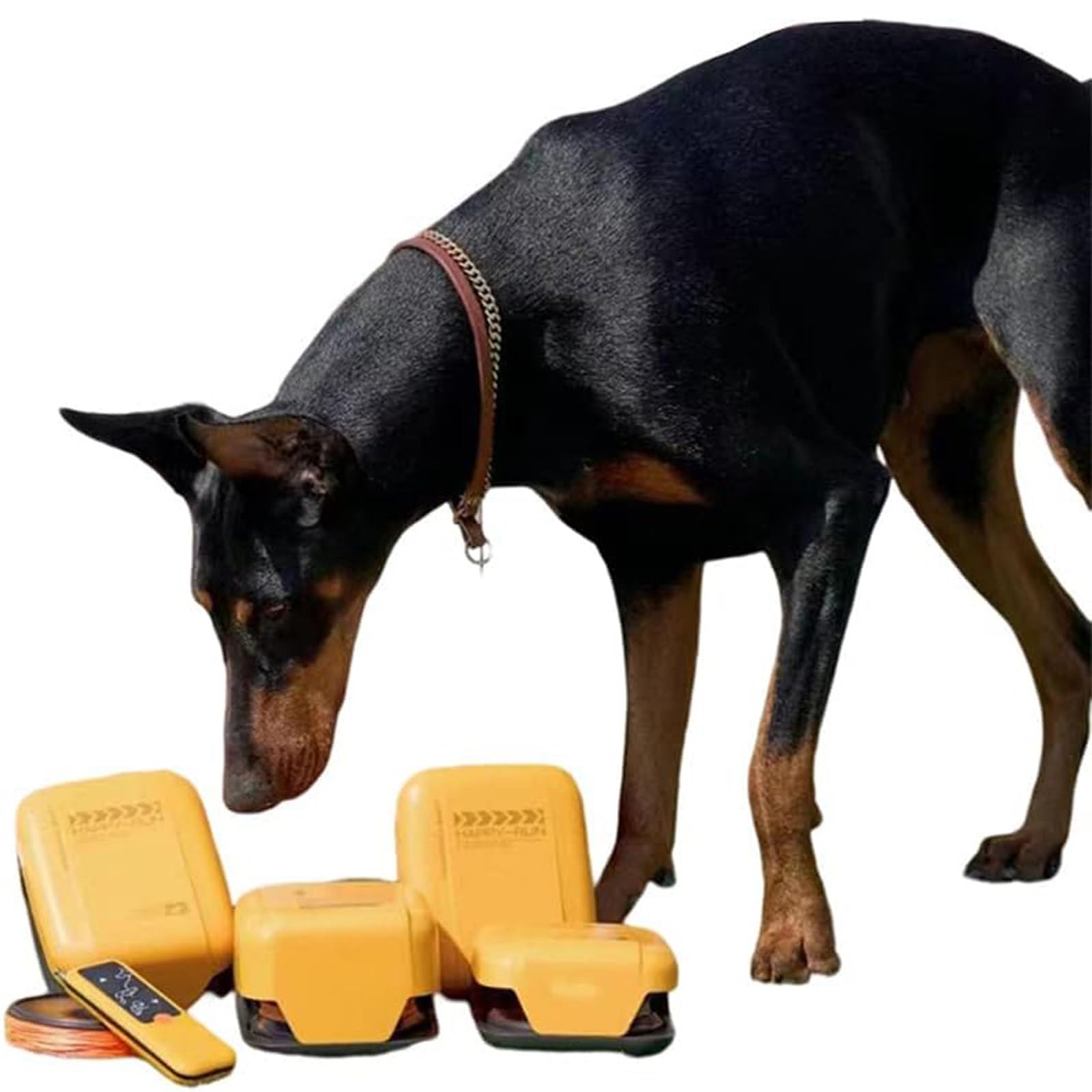 Giocattoli Interattivi per Cani, Macchina da Corsa con Esca per Cani, Set di Attrezzature per Addestramento per L'agilità del Cane per Giochi All'aperto Ed Esercizi Interattivi
