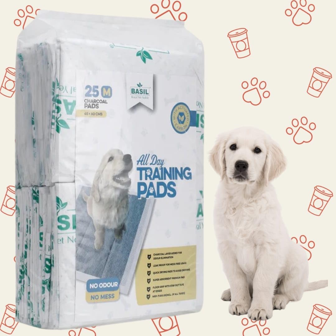 Basil 25 Absorbent Training Pee Pads with Activated Carbon & Leak Proof (Size - 45x60 Cms) for All Pets Dogs, Puppy, Peeing Toilet Trainer Mats, Potty Pads (Medium)- Pack of 1 (B0CC2NSCDP) Amazon Price History, Amazon Price Tracker