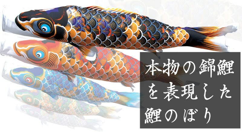 Amazon | こいのぼり 徳永鯉 鯉のぼり 単品 1.5m ちりめん京錦 献上手