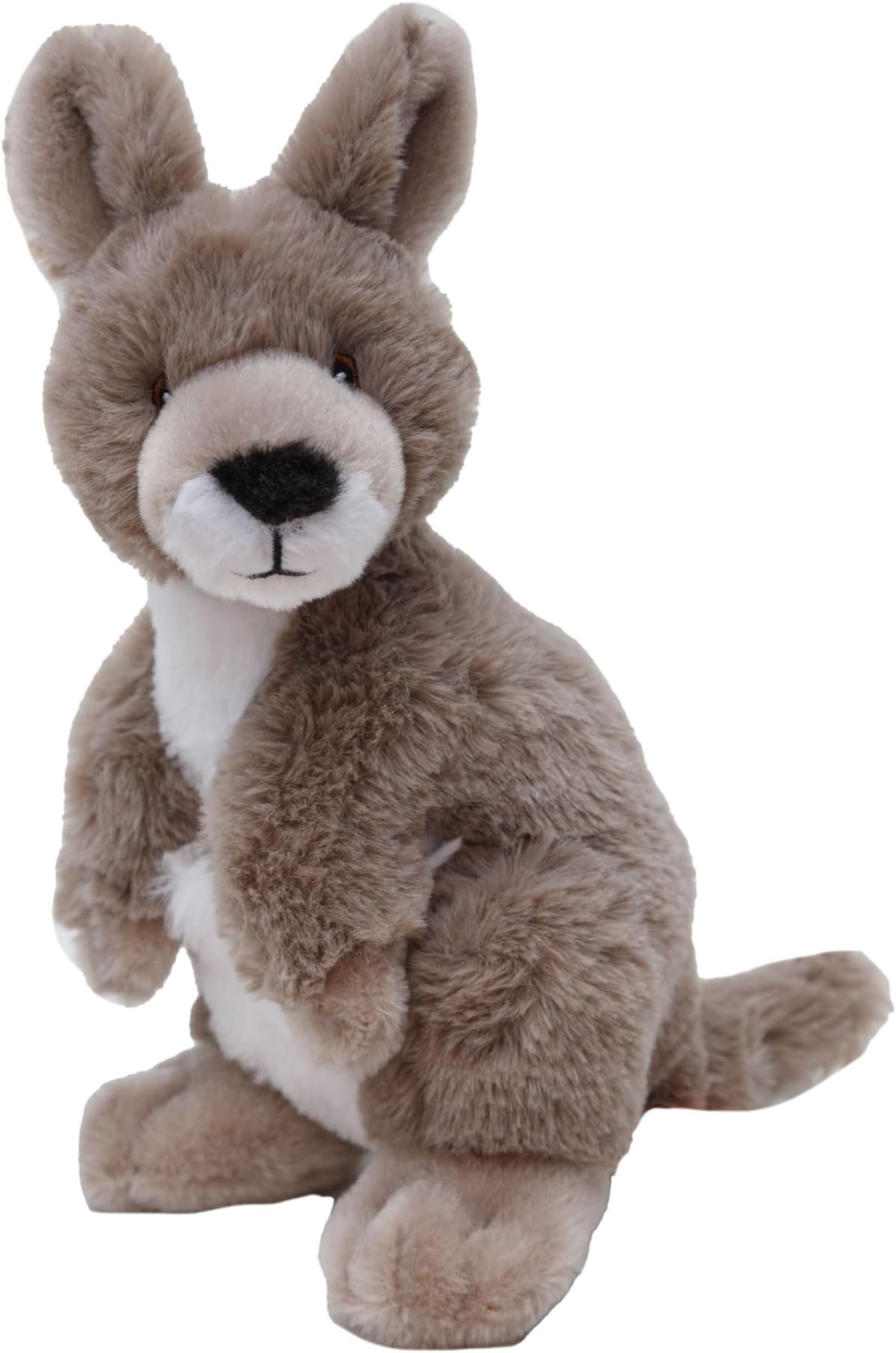 Kookaburra Spotted Living In Suffolk Countryside - News - Foto 3