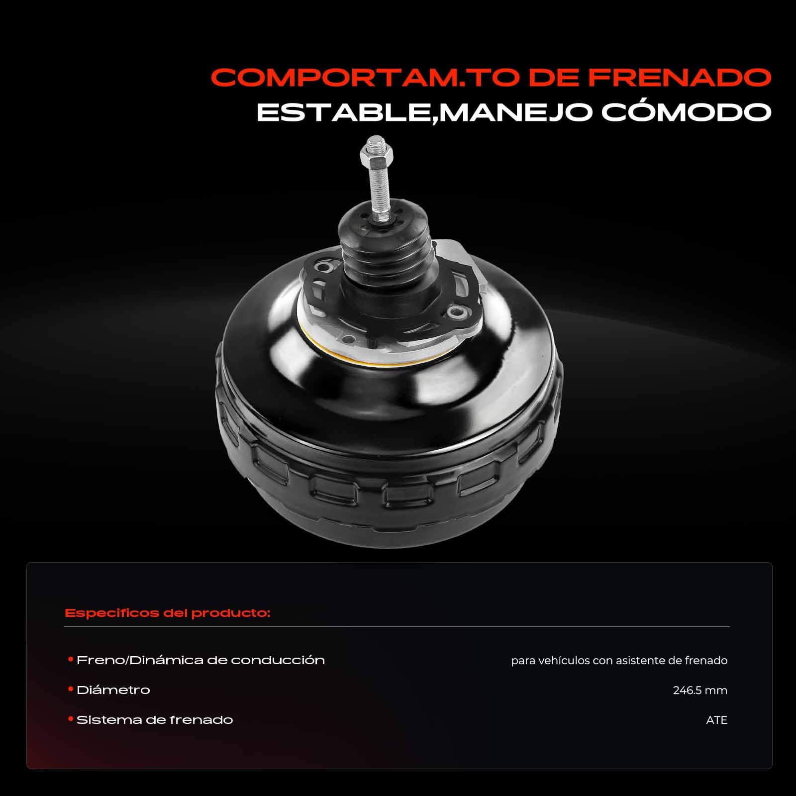 Frankberg Kit de reparación Servofreno Compatible con P.a.s.s.a.t Variante 3B6 A4 Avant 8K5 A6 4B2 4B4 A4 Avant 8E5 A6 Avant 4B5 4B6 Replace# 8E0612107F