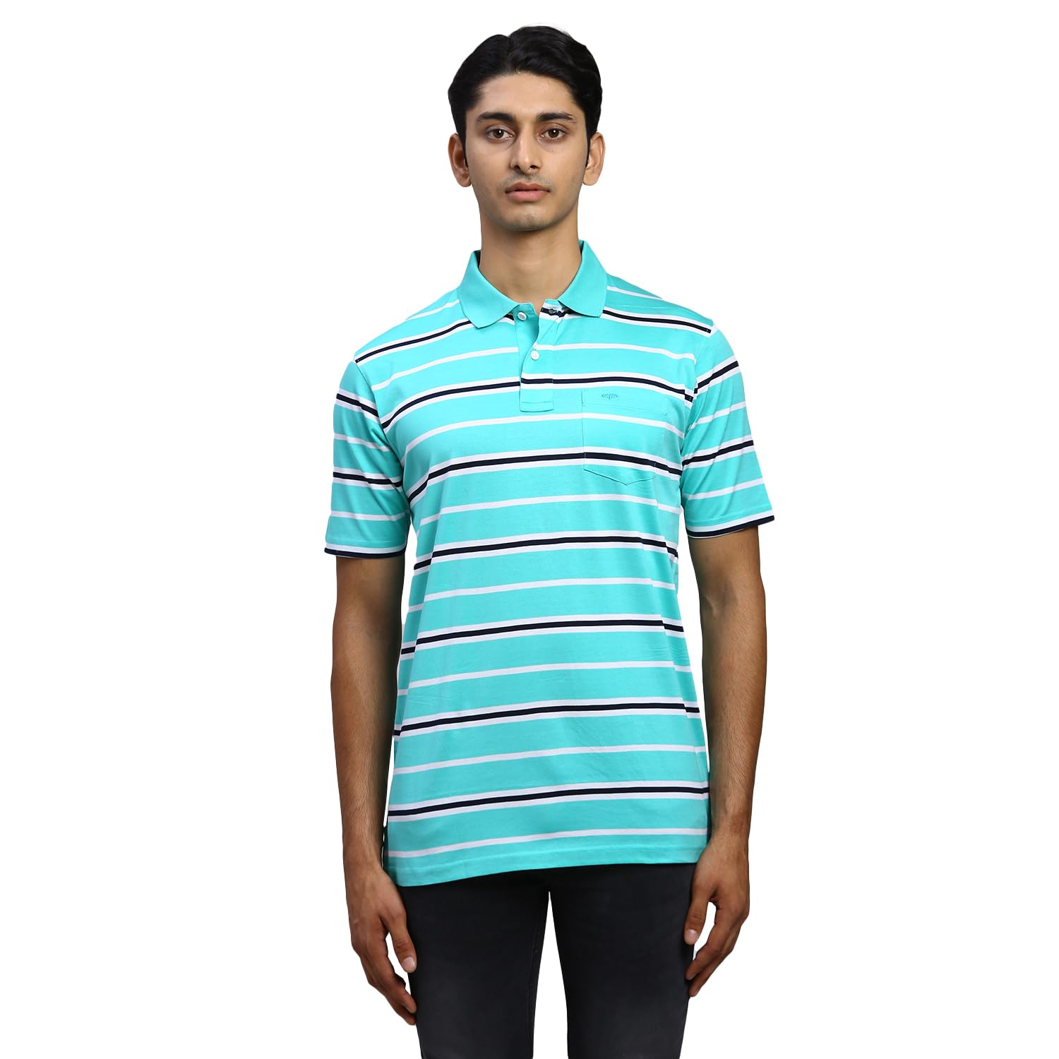 Men's Stripe Pattern Classic Fit Pure Cotton Half Sleeve Polo Neck Casual T-Shirt-image-39