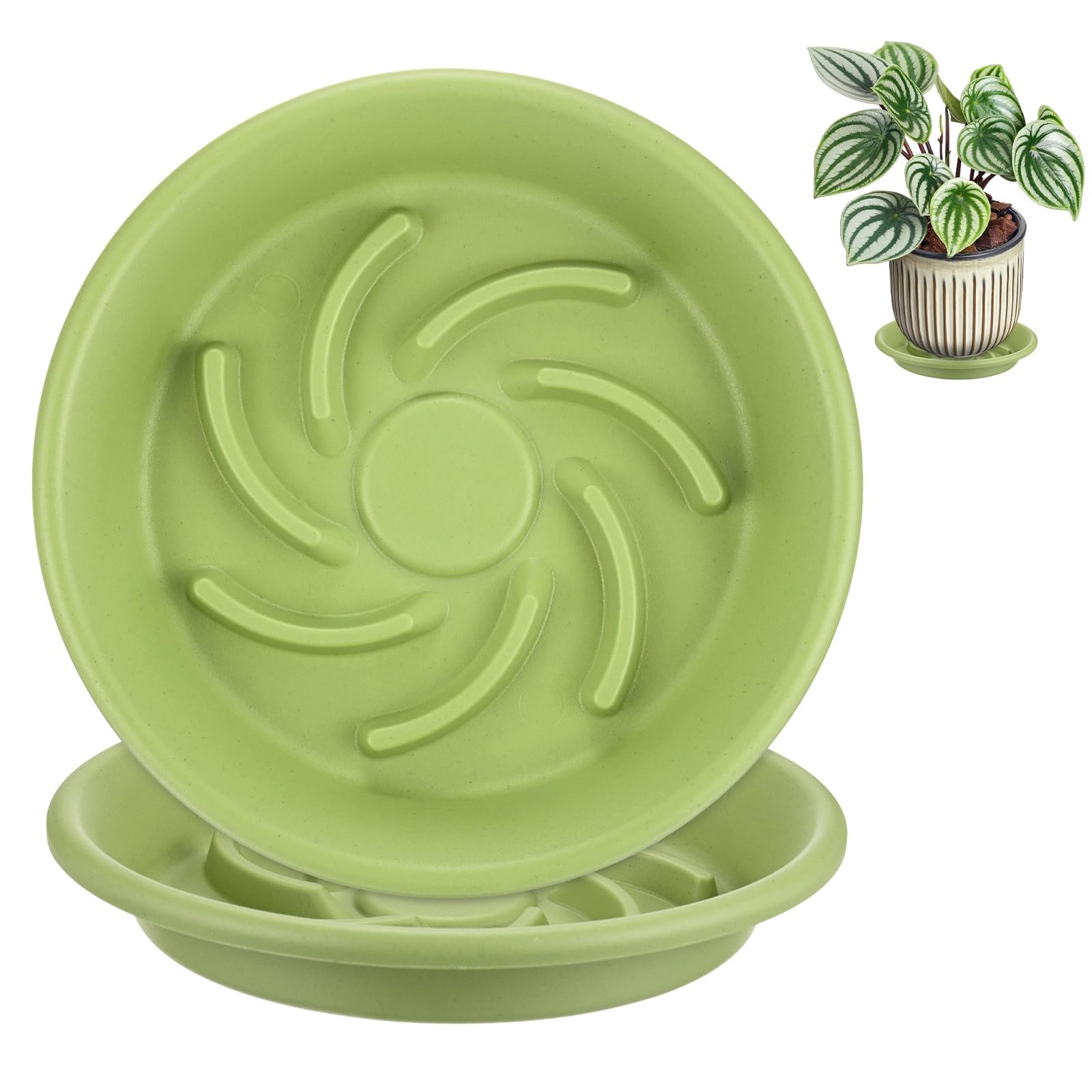 M METERXITY 2-Pack Plant Saucers, 6.3 Inch 16cm ID Anti-Rot Root Resin Flower Pot Plant Saucers for Indoor/Outdoor, Flowerpot Drip Tray [8.3 Inch OD, Fruit Green] — image 1