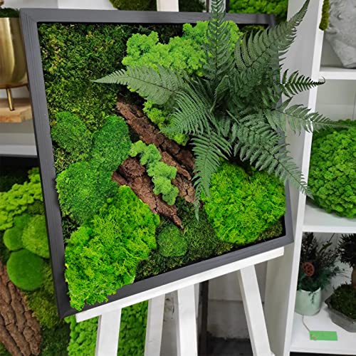 13.6 Oz Preserved Moss For Potted Plants, 0.85Lb Natural Fresh Green Reindeer Moss For Planters, Spring Green Moss Diy Kit For Terrariums Fairy Garden Art Easter Table Decor Wedding Decor, Light Green #TOP6