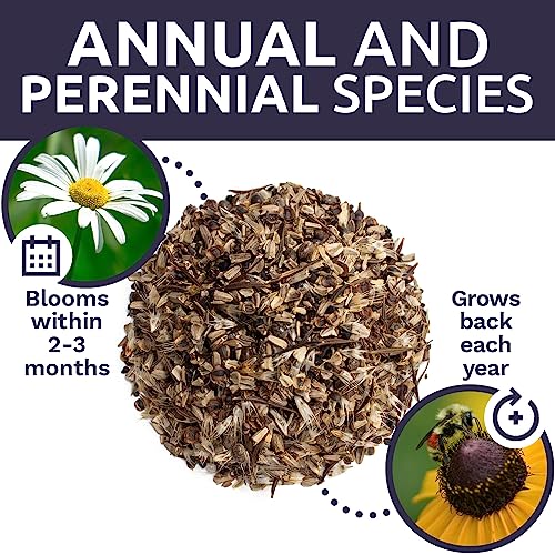 Sweet Yards Seed Co. Cut Flower Garden Seeds - Extra Large 1 Ounce Packet - Over 7,500 Fresh Open Pollinated Non-Gmo Wildflower Seeds - Long Lasting Annuals And Perennials With Bright Colors #TOP7
