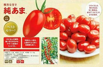 Amazon.co.jp: サントリー本気野菜 トマト苗 「純あま 4本セット
