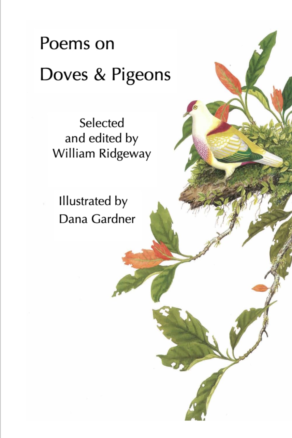 Poems on Doves & Pigeons with Bird Illustrations