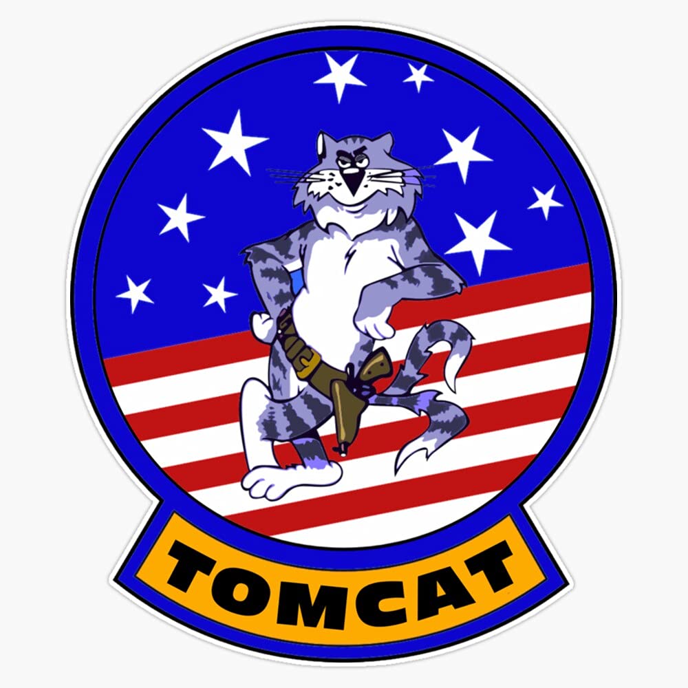 Amazon.com: BZ Trading Grumman F-14 Tomcat Flight Insignia Vinyl
