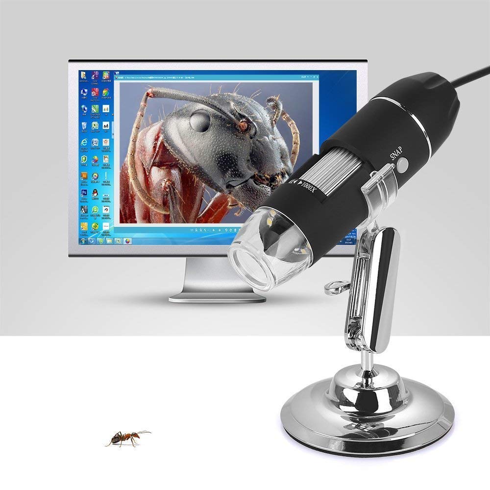 Microware 1000x HD Digital Endoscope Camera Microscopes 500X 800X Electronic Microscope 8*LED CMOS Sensor Stand Optical Loupes Magnifier : 800X, Black 4